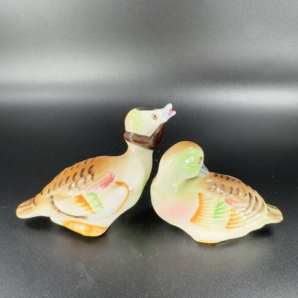 Ceramic Shakers Other - Vintage Ceramic Salt Pepper Shaker Set Ducks Birds Colorful Made Japan Shakers